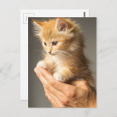 Carte Postale Cute Kitten sur les mains (Devant / Derrière)