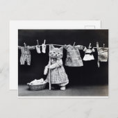 Carte Postale Cute Kitten Suspendu Lave (Devant / Derrière)