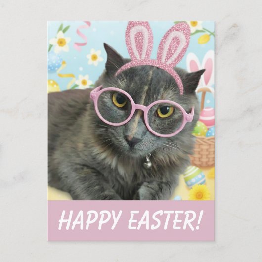 Carte Postale Cute Kitten with Bunny Ears photo (Devant)