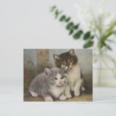 Carte Postale Cute Kittens (Debout devant)