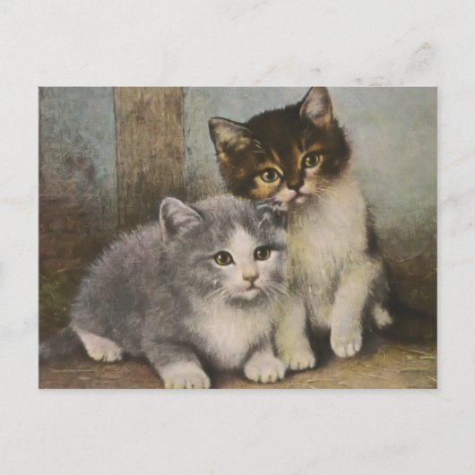 Carte Postale Cute Kittens (Devant)