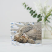 Carte Postale Cute kittin dormir (Debout devant)