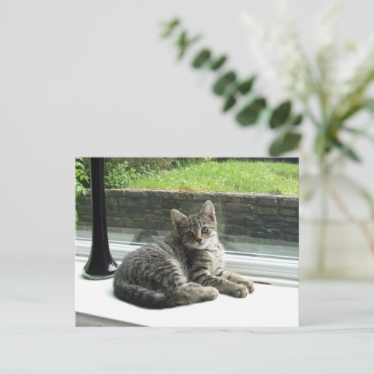 Carte Postale Cute Kitty (Debout devant)