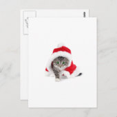 Carte Postale Cute Kitty ! (Devant / Derrière)