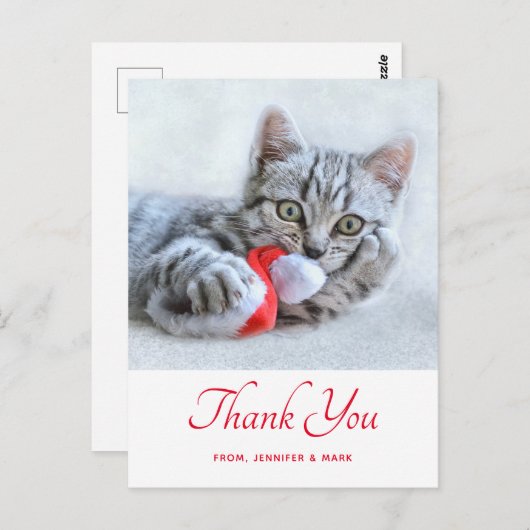 Carte Postale Cute Kitty Chat Mâte Rouge Santa Chapeau Noël Merc (Devant / Derrière)