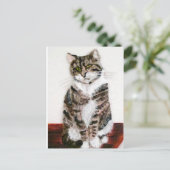 Carte Postale Cute Kitty Portrait pour animaux Tabby Chat (Debout devant)