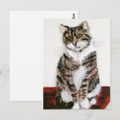 Carte Postale Cute Kitty Portrait pour animaux Tabby Chat (Devant / Derrière)