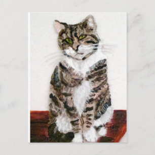 Carte Postale Cute Kitty Portrait pour animaux Tabby Chat