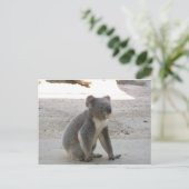 Carte Postale Cute Koala (Debout devant)