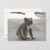 Carte Postale Cute Koala (Devant / Derrière)