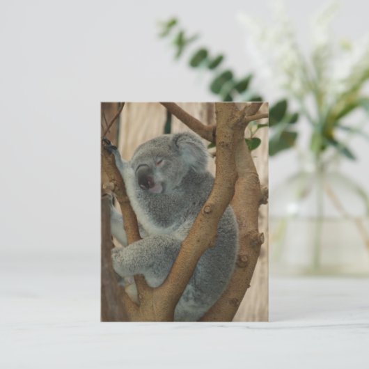 Carte postale Cute Koala Bear Sleeping (Debout devant)