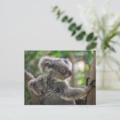 Carte Postale Cute Koala Ours & Cube Animal Australien (Debout devant)