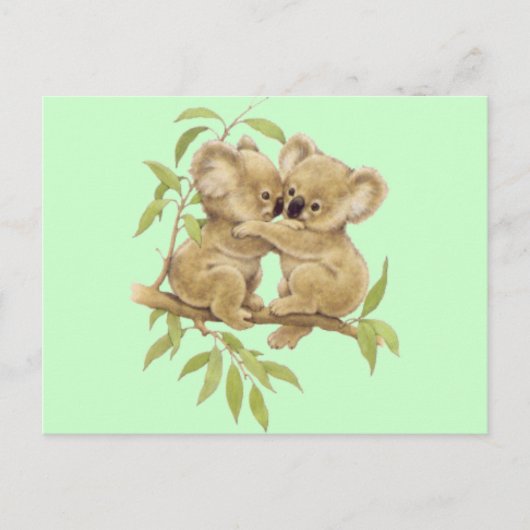 Carte Postale Cute Koalas (Devant)