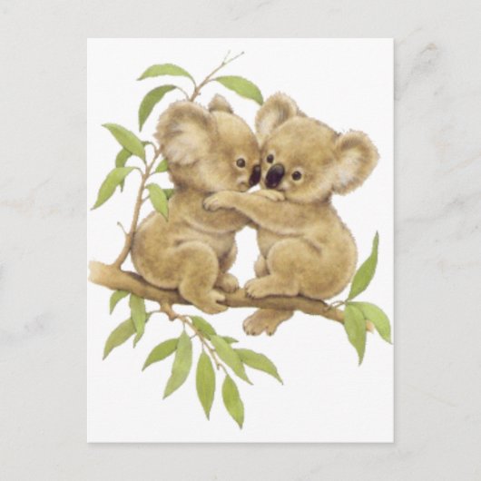 Carte Postale Cute Koalas (Devant)