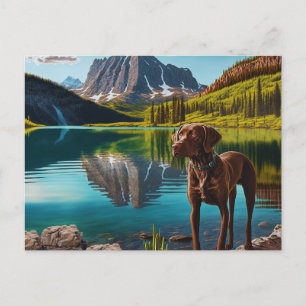 Carte Postale Cute Lab Chien Chocolat Labrador Retriever Animal