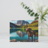 Carte Postale Cute Lab Chien Chocolat Labrador Retriever Animal (Debout devant)