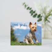 Carte Postale Cute Little Yorkie Terrier (Debout devant)