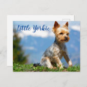 Carte Postale Cute Little Yorkie Terrier (Devant / Derrière)