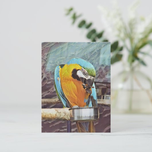 CARTE POSTALE CUTE MACAW (Debout devant)