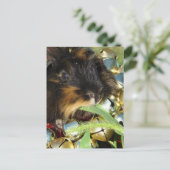 Carte Postale Cute Merry Christmas Guinea Pig (Debout devant)