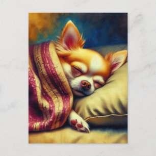 Carte Postale Cute Napping Chihuahua Maintenir le contact