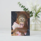 Carte Postale Cute Orangutan Tongue Monkey Business (Debout devant)