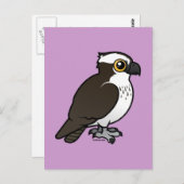 Carte Postale Cute Osprey (Devant / Derrière)