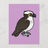 Carte Postale Cute Osprey (Devant)