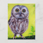 Carte Postale Cute Owl (Devant)
