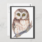 Carte Postale Cute Owl - Aquarelle Collection d'oiseaux (Devant / Derrière)
