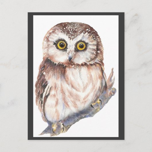 Carte Postale Cute Owl - Aquarelle Collection d'oiseaux (Devant)
