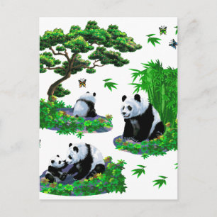 Carte Postale cute panda