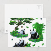 Carte Postale cute panda (Devant / Derrière)