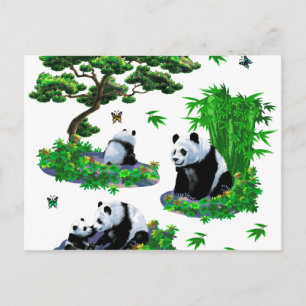 Carte Postale cute panda