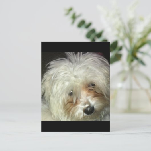 Carte Postale Cute Petit Casper (Debout devant)