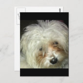 Carte Postale Cute Petit Casper (Devant / Derrière)