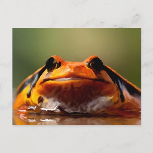 Carte Postale Cute Petite Grenouille Nature Amphibienne (Devant)
