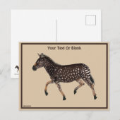 Carte Postale Cute Polka Dot Zebra (Devant / Derrière)