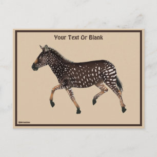 Carte Postale Cute Polka Dot Zebra