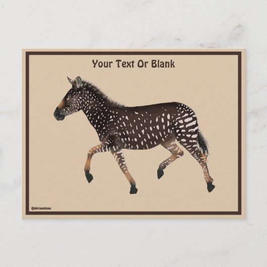 Carte Postale Cute Polka Dot Zebra (Devant)