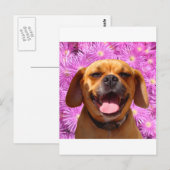 Carte Postale Cute Puggle (Devant / Derrière)