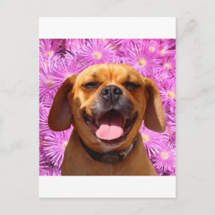 Carte Postale Cute Puggle