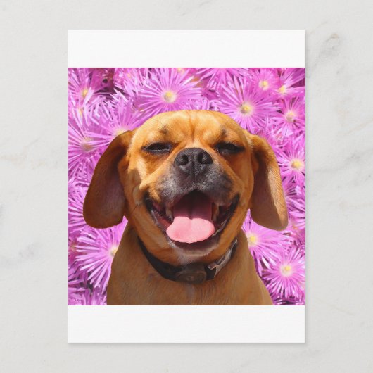Carte Postale Cute Puggle (Devant)