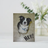 Carte postale Cute Pup (Debout devant)
