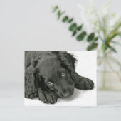 Carte postale Cute Puppy (Debout devant)