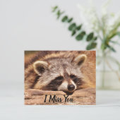 Carte Postale Cute Raccoon (Debout devant)