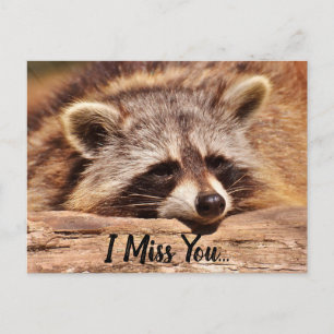Carte Postale Cute Raccoon