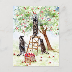 Carte Postale Cute Raccoons dans Apple Orchard