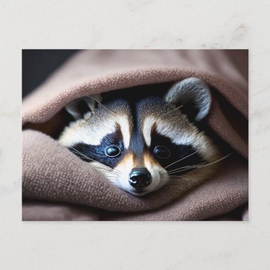 Carte Postale Cute Racoon niché dans une couverture souple (Devant)