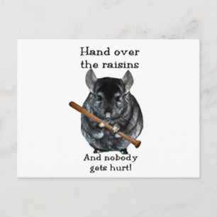 Carte Postale Cute Raisin Mean Chinchilla